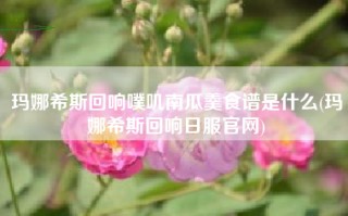 玛娜希斯回响噗叽南瓜羹食谱是什么(玛娜希斯回响日服官网)