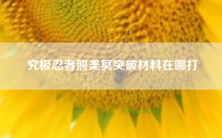 究极忍者照美冥突破材料在哪打