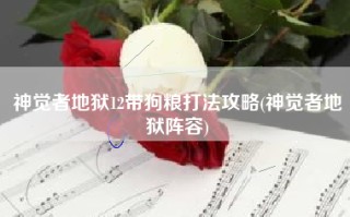 神觉者地狱12带狗粮打法攻略(神觉者地狱阵容)