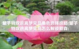 量子特攻逃离梦见岛角色选择攻略(量子特攻逃离梦见岛怎么解锁戴森)