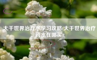 大千世界治疗术学习攻略(大千世界治疗药水在哪买)