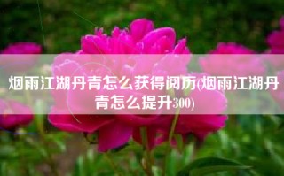 烟雨江湖丹青怎么获得阅历(烟雨江湖丹青怎么提升300)