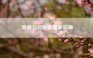 地精公司配置要求说明