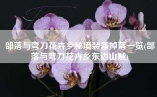 部落与弯刀花卉乡秘境装备掉落一览(部落与弯刀花卉乡东边山贼)