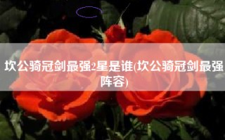 坎公骑冠剑最强2星是谁(坎公骑冠剑最强阵容)