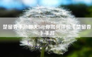 楚留香手游聊天bug,你如何评价《楚留香》手游