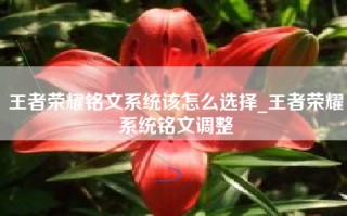 王者荣耀铭文系统该怎么选择_王者荣耀系统铭文调整