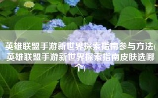 英雄联盟手游新世界探索指南参与方法(英雄联盟手游新世界探索指南皮肤选哪个)