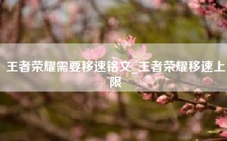 王者荣耀需要移速铭文_王者荣耀移速上限