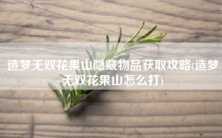 造梦无双花果山隐藏物品获取攻略(造梦无双花果山怎么打)