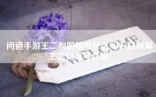 问道手游王二狗的暗号什么(3月4日探案王二狗暗号介绍)
