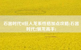 石器时代M狂人龙系性格加点攻略(石器时代2驯龙高手)