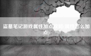 盗墓笔记游戏属性加点攻略(属性怎么加点)