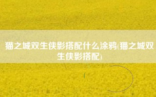猫之城双生侠影搭配什么涂鸦(猫之城双生侠影搭配)