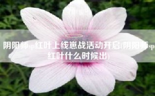 阴阳师sp红叶上线崽战活动开启(阴阳师sp红叶什么时候出)