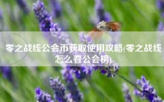 零之战线公会币获取使用攻略(零之战线怎么看公会榜)