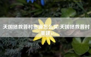 天国拯救普村资源怎么买(天国拯救普村重建)