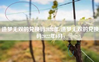 造梦无双的兑换码2022年(造梦无双的兑换码2022年6月)