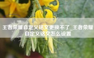 王者荣耀自定义铭文更换不了_王者荣耀自定义铭文怎么设置