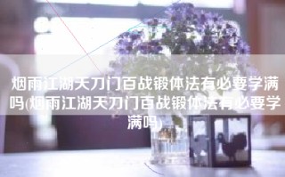 烟雨江湖天刀门百战锻体法有必要学满吗(烟雨江湖天刀门百战锻体法有必要学满吗)