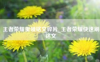 王者荣耀里领铭文碎片_王者荣耀快速刷铭文