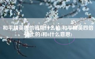 和平精英四倍镜用什么枪(和平精英四倍镜上的4和6什么意思)