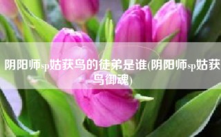 阴阳师sp姑获鸟的徒弟是谁(阴阳师sp姑获鸟御魂)