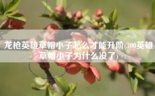 龙枪英雄草帽小子怎么才能升阶(300英雄草帽小子为什么没了)