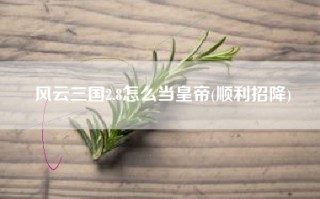 风云三国2.8怎么当皇帝(顺利招降)