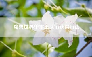 魔兽世界单挑王头衔获得方法