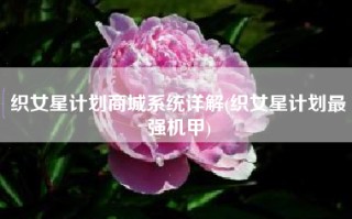 织女星计划商城系统详解(织女星计划最强机甲)