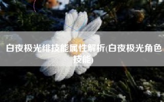 白夜极光绯技能属性解析(白夜极光角色技能)