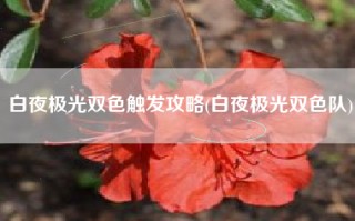 白夜极光双色触发攻略(白夜极光双色队)