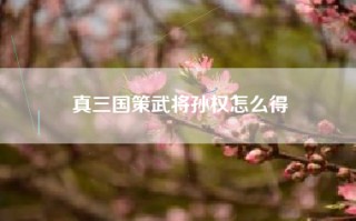 真三国策武将孙权怎么得