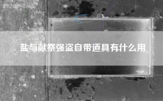 盐与献祭强盗自带道具有什么用