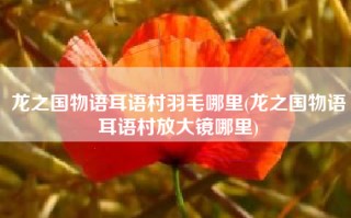 龙之国物语耳语村羽毛哪里(龙之国物语耳语村放大镜哪里)