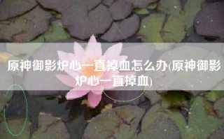 原神御影炉心一直掉血怎么办(原神御影炉心一直掉血)