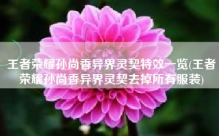 王者荣耀孙尚香异界灵契特效一览(王者荣耀孙尚香异界灵契去掉所有服装)