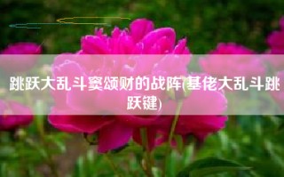 跳跃大乱斗窦颂财的战阵(基佬大乱斗跳跃键)