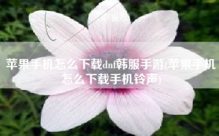 苹果手机怎么下载dnf韩服手游(苹果手机怎么下载手机铃声)