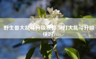 野生番大乱斗升级攻略(lol打大乱斗升级快吗)
