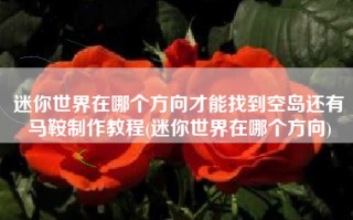 迷你世界在哪个方向才能找到空岛还有马鞍制作教程(迷你世界在哪个方向)