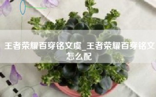 王者荣耀百穿铭文虞_王者荣耀百穿铭文怎么配