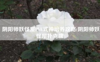 阴阳师妖怪屋PVE式神培养攻略(阴阳师妖怪屋扑克牌)