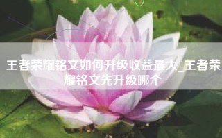 王者荣耀铭文如何升级收益最大_王者荣耀铭文先升级哪个