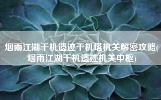 烟雨江湖千机遗迹千机塔机关解密攻略(烟雨江湖千机遗迹机关中枢)