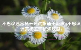 不思议迷宫杨玉环试炼通关流程 (不思议迷宫杨玉环试炼攻略)