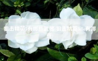 狙击精英5有哪些武器(狙击精英3dlc有哪些)