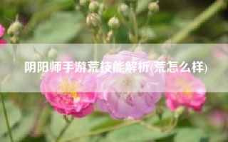 阴阳师手游荒技能解析(荒怎么样)