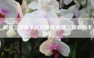 射雕三部曲手游培养谁,射雕三部曲高手如云